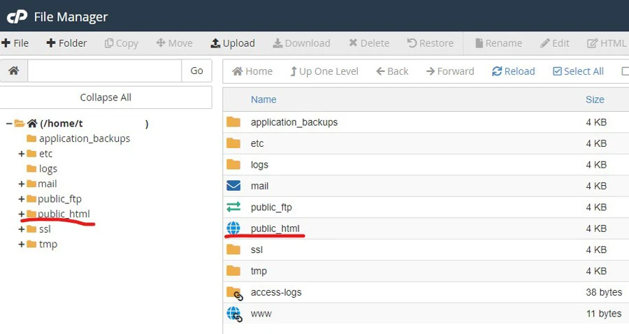 wordpress database username and password in cpanel