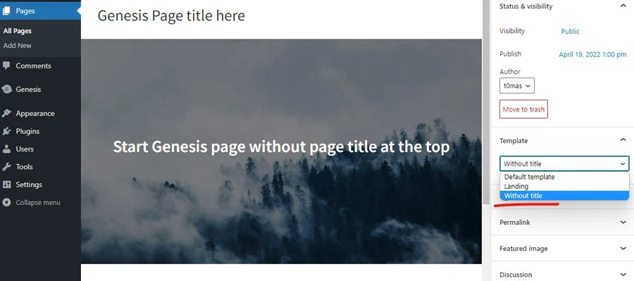 genesis framework template without page title